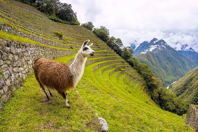Humantay Lake, Machu Picchu by Train and Rainbow Mountain 3 Days in Cusco - Customer Reviews and Ratings