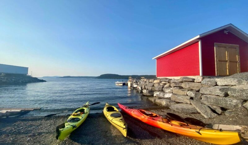 Humber Arm South: Bay of Islands Guided Kayaking Tour - Price and Duration