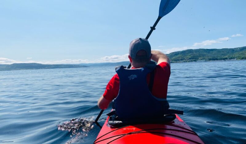 Humber Arm South: Bay of Islands Guided Kayaking Tour - Group Size and Language