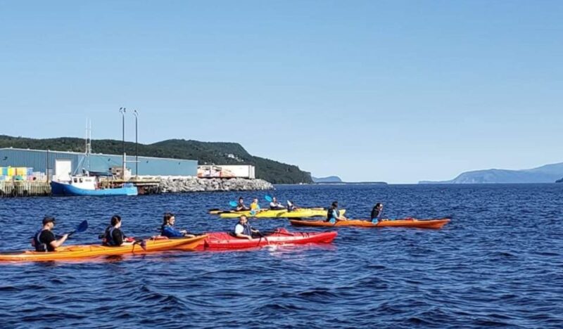 Humber Arm South: Bay of Islands Guided Kayaking Tour - Cancellation Policy and Payment