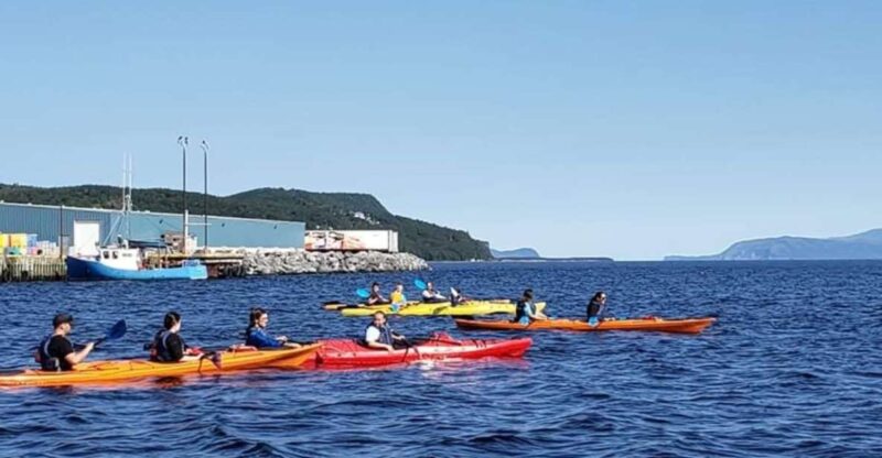 Humber Arm South: Bay of Islands Guided Kayaking Tour - Required Equipment and Safety