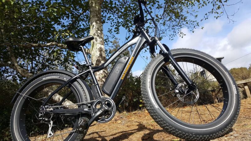 Humboldt Country: 4-Hour Electric Bike Rentals - Delivery Information