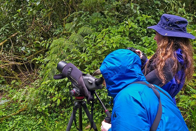 HUMMINGBIRD EXPEDITION - Searching for the Cloud Forest Jewels. - Included Amenities