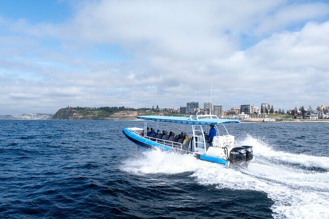 Humpback Whale Encounter Tour from Newcastle - Why This Tour Offers Great Value