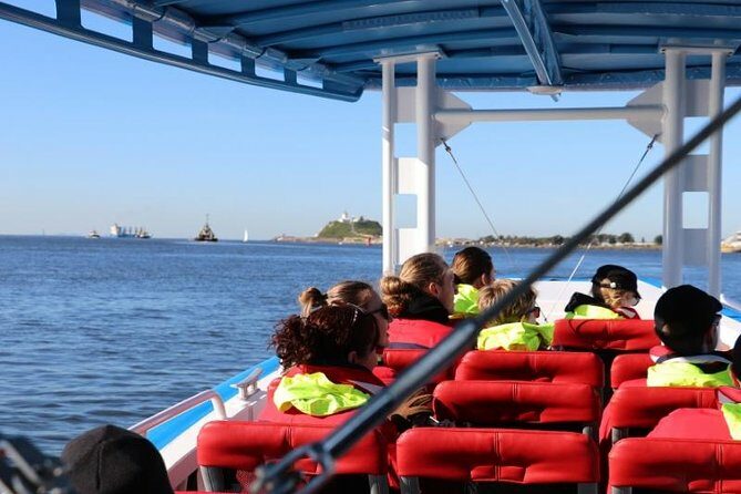 Humpback Whale Encounter Tour from Newcastle - Final Thoughts: Is This Tour Right for You?