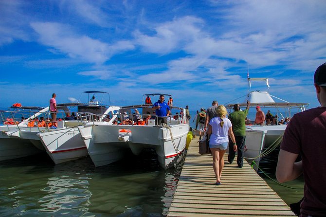 Humpback Whales Watching + Samana Eco-Tour - Exploring Samana and Beyond