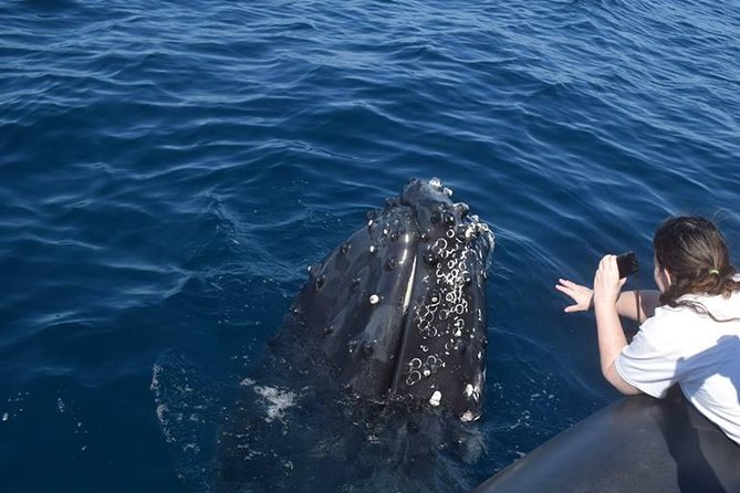 Humpback Whales Watching + Samana Eco-Tour - Punta Cana - Miches Breakfast