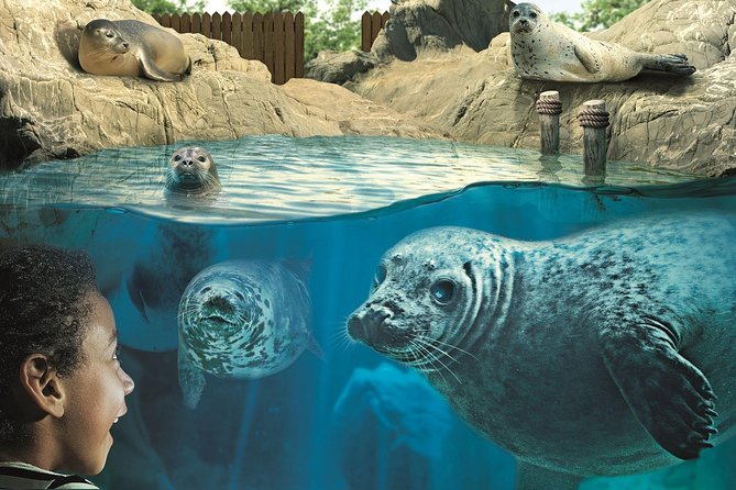 Hunstanton SEA LIFE Sanctuary General Admission Ticket - Dining and Amenities