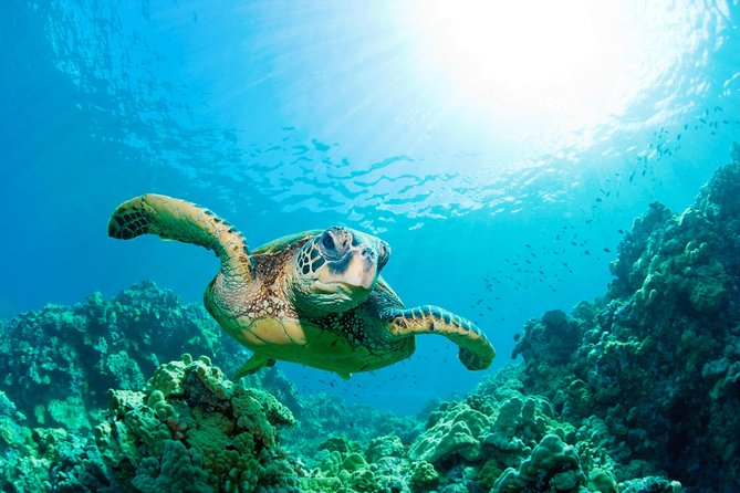 Hunstanton SEA LIFE Sanctuary General Admission Ticket - Location and Directions