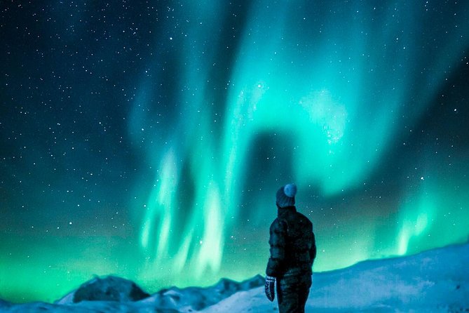 Hunt for the Northern Lights in Kiruna - Abisko - Accessibility and Confirmation