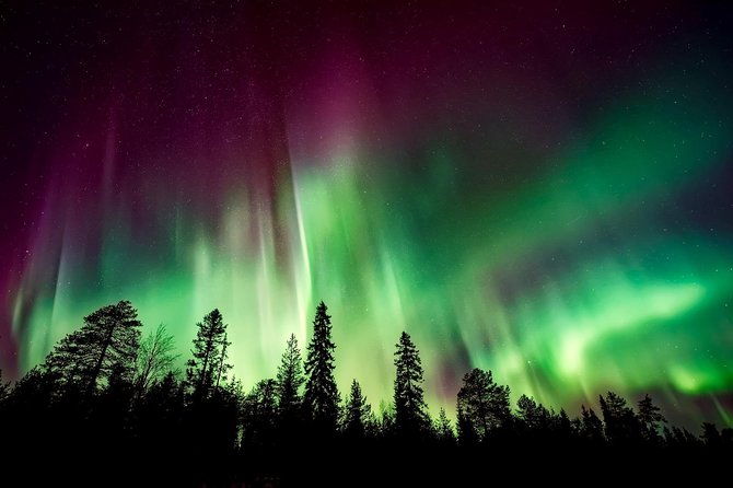 Hunt for the Northern Lights in Kiruna - Abisko - Traveler Reviews
