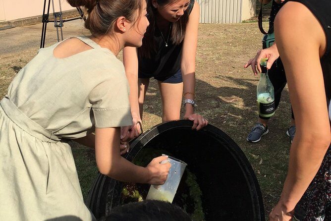 Hunter Valley Grape Stomping - Detailed Review of Hunter Valley Grape Stomping