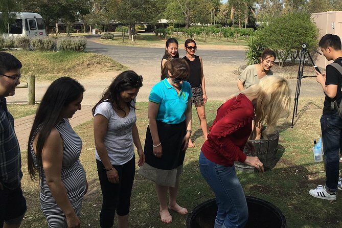 Hunter Valley Grape Stomping - The Sum Up