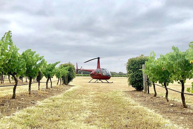 Hunter Valley Helicopter Tour With a Bubbly Breakfast - Participant Requirements