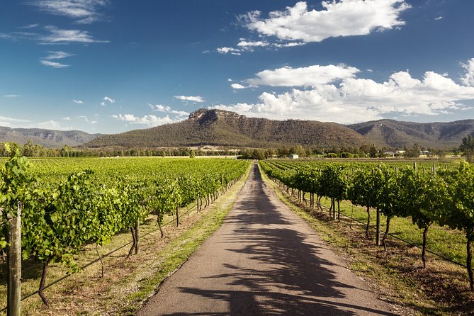 Hunter Valley Highlights Private Wine Tour From Sydney - Appreciation for Australian Wines