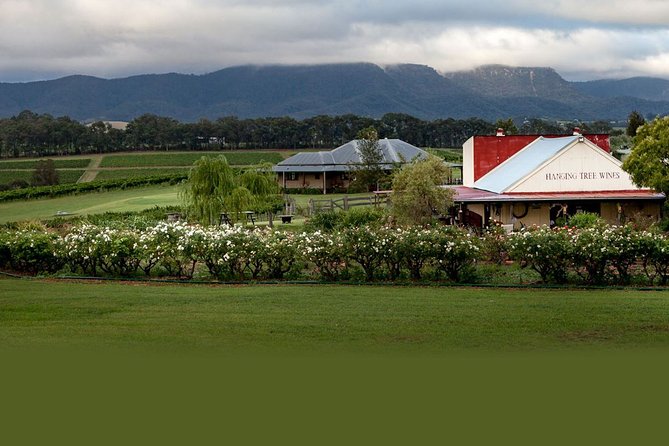 Hunter Valley Highlights Private Wine Tour From Sydney - Tour Pricing and Availability