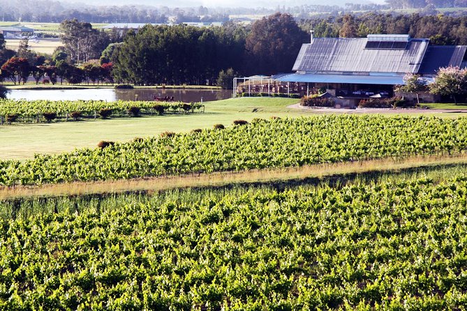 Hunter Valley Private Wine Tasting Tour From Sydney - Inclusions