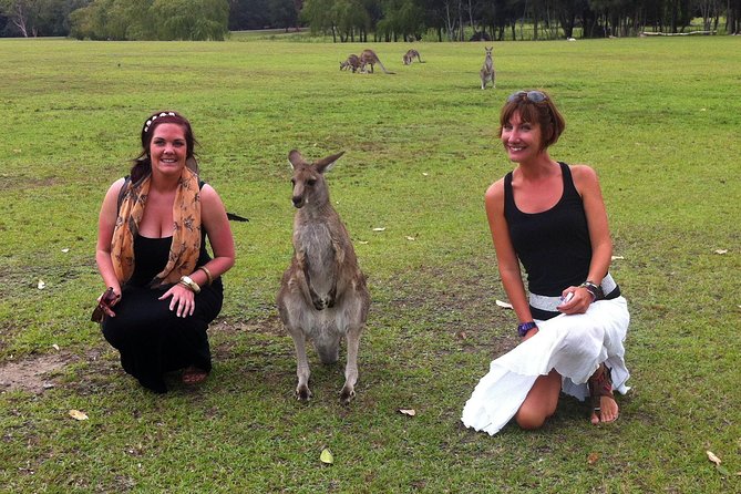 Hunter Valley Private Wine Tasting Tour From Sydney - Reviews and Feedback