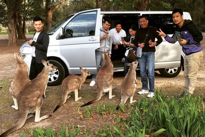 Hunter Valley Private Wine Tasting Tour From Sydney - Winery Tasting Experiences