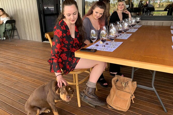 Hunter Valley Small Group Wine, Gin and Cheese Tour From Sydney - Gin and Vodka Tasting
