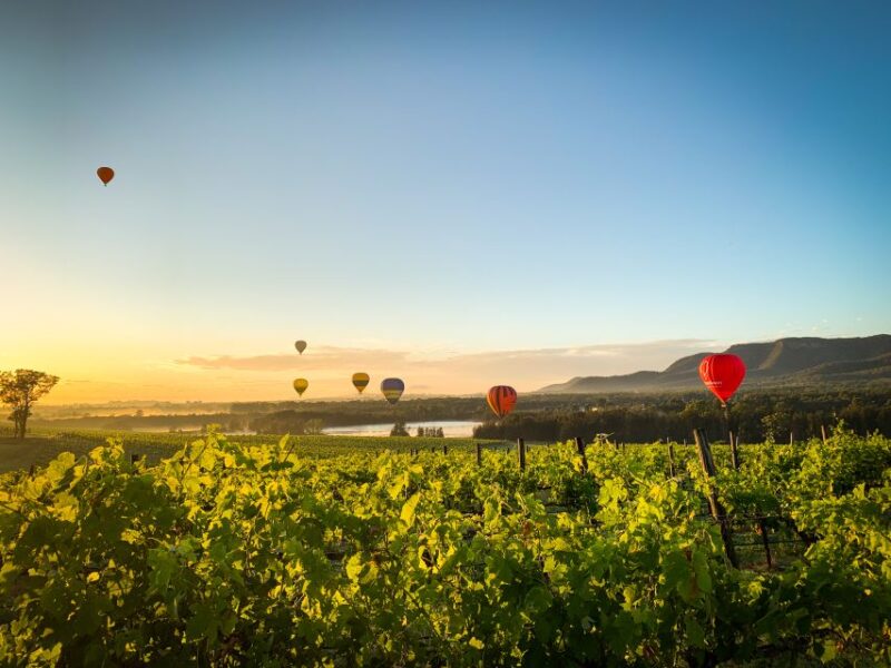 Hunter Valley: Sunrise Balloon Ride With Bubbly Breakfast - Meeting Point and Transportation
