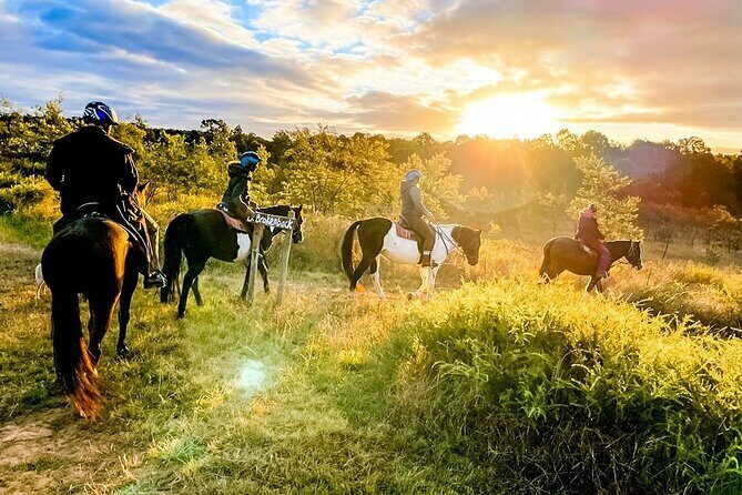 Hunter Valley Sunset Horse Ride - 90 Minutes - A Calm Ride Through Hunter Valley’s Natural Beauty