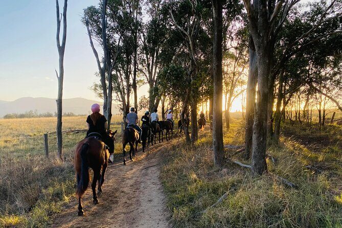 Hunter Valley Sunset Horse Ride - 90 Minutes - The Experience and Its Value