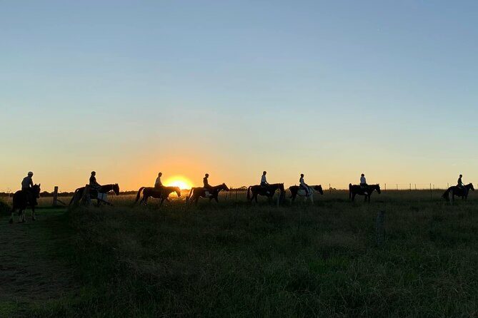 Hunter Valley Sunset Horse Ride - 90 Minutes - Final Thoughts