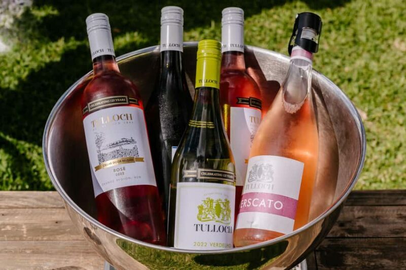 Hunter Valley: Tulloch Wine Tasting and Chocolate Pairings - Who Will Love This Tour?