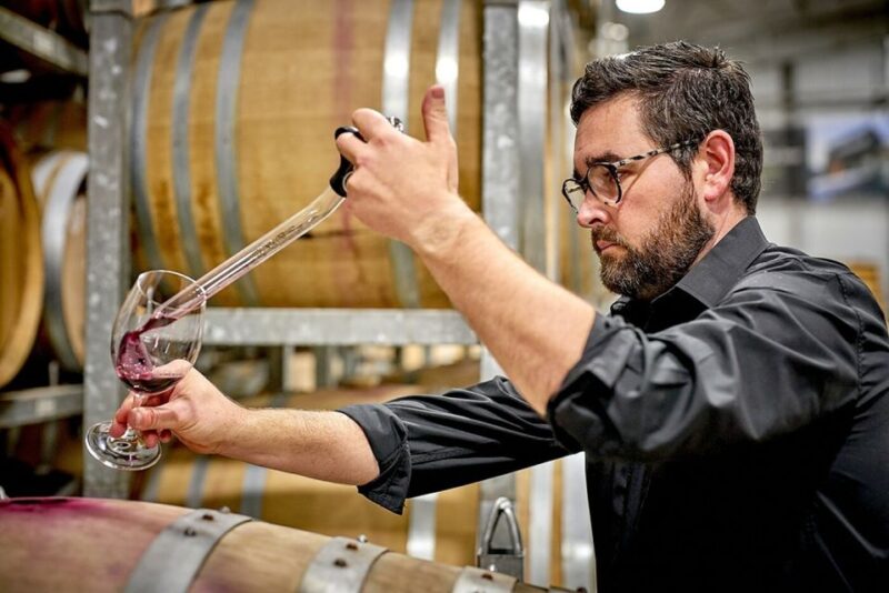 Hunter Valley: VIP Soil-to-Cellar Winery Experience - Degustation Lunch and Wine Pairings