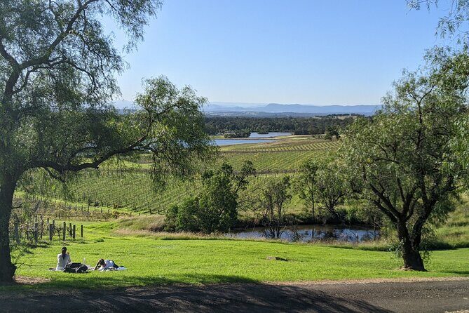 Hunter Valley wine and cheese starting from the Hunter region - Exploring Pokolbin and Beyond