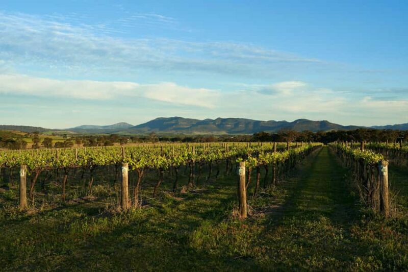 Hunter Valley Wine & Cheese Tasting Tour from Sydney - Key Points