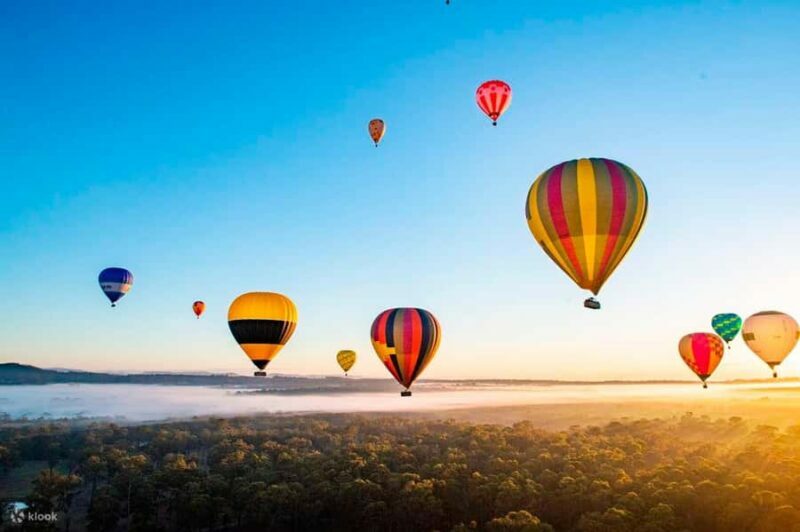 Hunter Valley Wine & Cheese Tasting Tour from Sydney - Is it Worth the Cost?