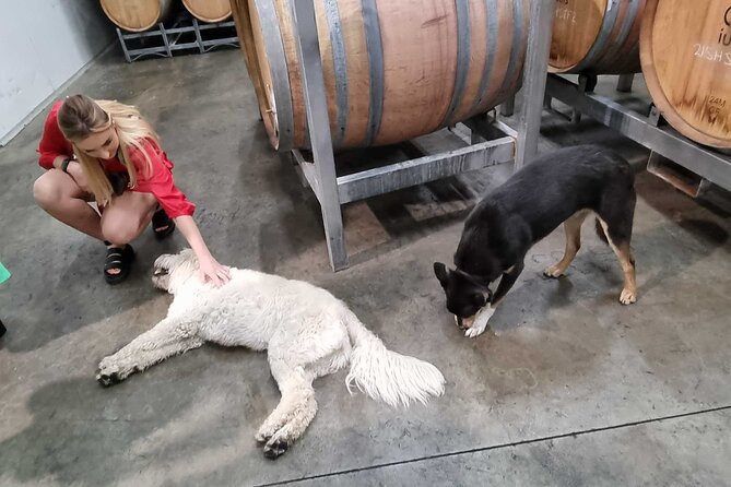 Hunter Valley Wine, Gin, Cheese & Chocolate Tour From Newcastle - Behind-the-Scenes Wine Tour