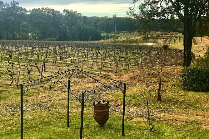 Hunter Valley Wine Tasting + Lunch Guided Day Tour - Picnic Details