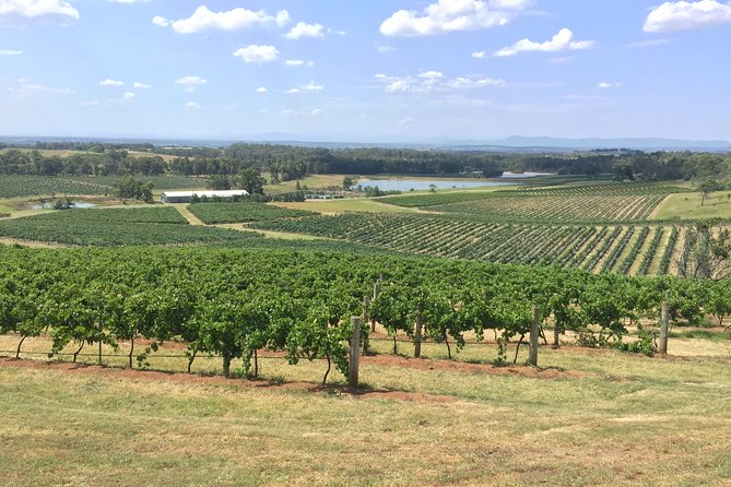 Hunter Valley Wine Tasting Private Tour From Sydney - Health and Safety Measures