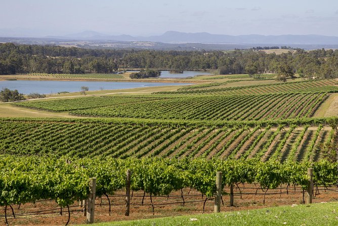 Hunter Valley Wine Tour From Sydney With Lunch and 3 Cellar Door Tastings - Age Restrictions and Accessibility