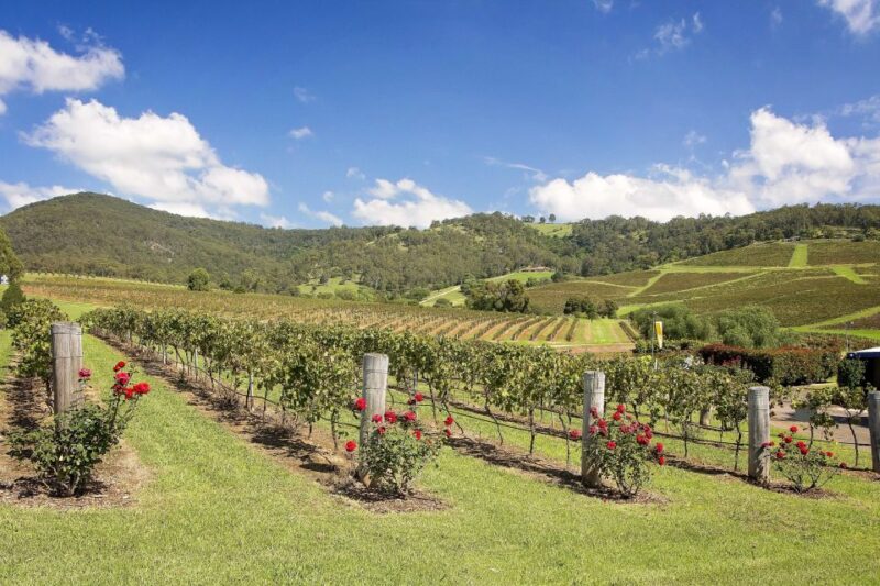Hunter Valley: Wine Tour With 3 Tastings and Garden Lunch - Key Points