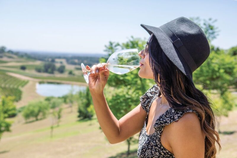 Hunter Valley: Wine Tour With 3 Tastings and Garden Lunch - Highlights of the Day