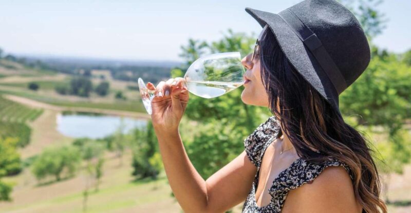 Hunter Valley: Wine Tour With 3 Tastings and Garden Lunch - Wine Tasting Experiences
