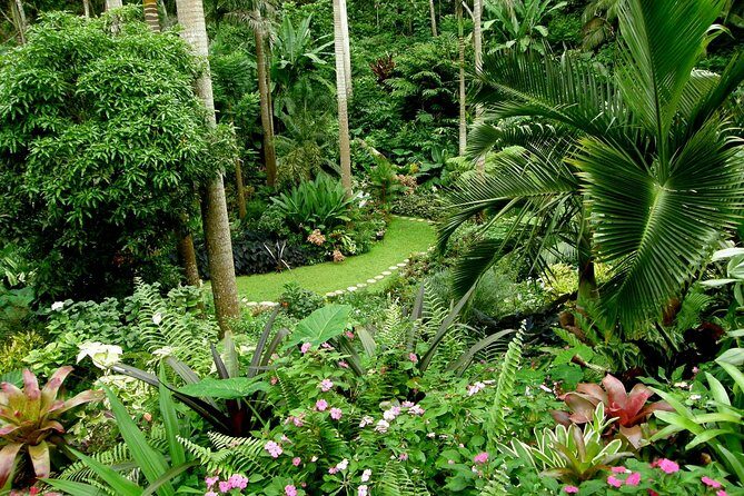 Hunte's Garden and St Nicholas Abbey small group Barbados tour - Key Points