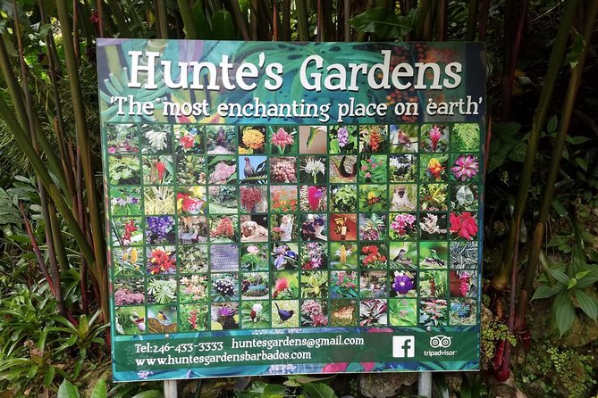 Huntes Gardens - Beverages Included