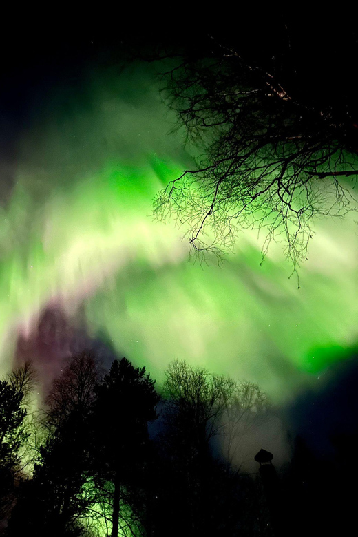 Hunting Aurora With BBQ in Small Group - Activity Highlights