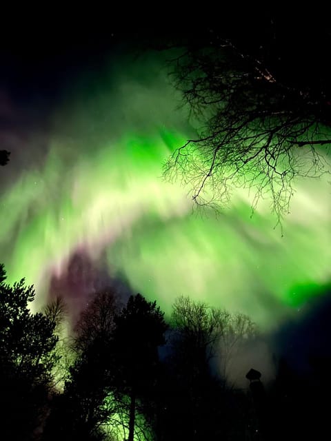 Hunting Aurora With BBQ in Small Group - Inclusions