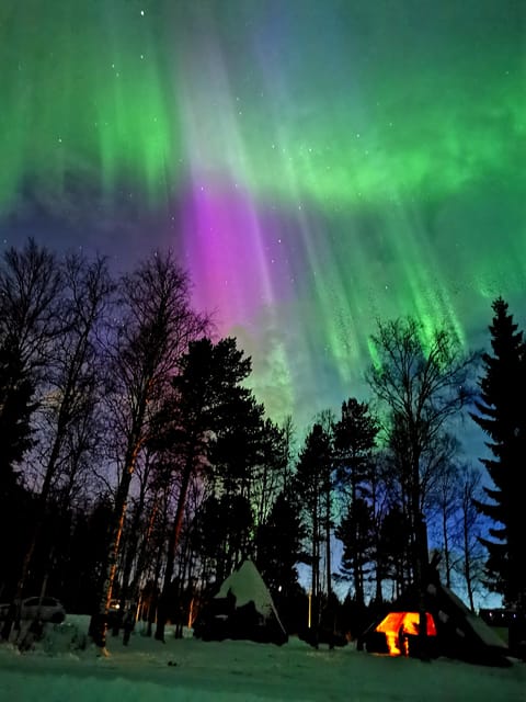 Hunting Aurora With BBQ in Small Group - Cancellation Policy