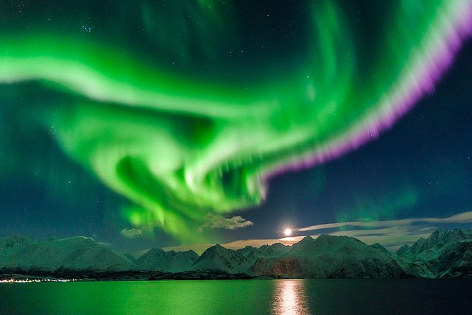 Hunting for Reykjavik Northern Lights Private Tour - Private Tour Itinerary
