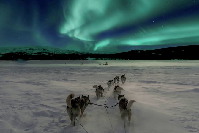 Hunting Northern Lights With Husky - Meeting and Pickup Details