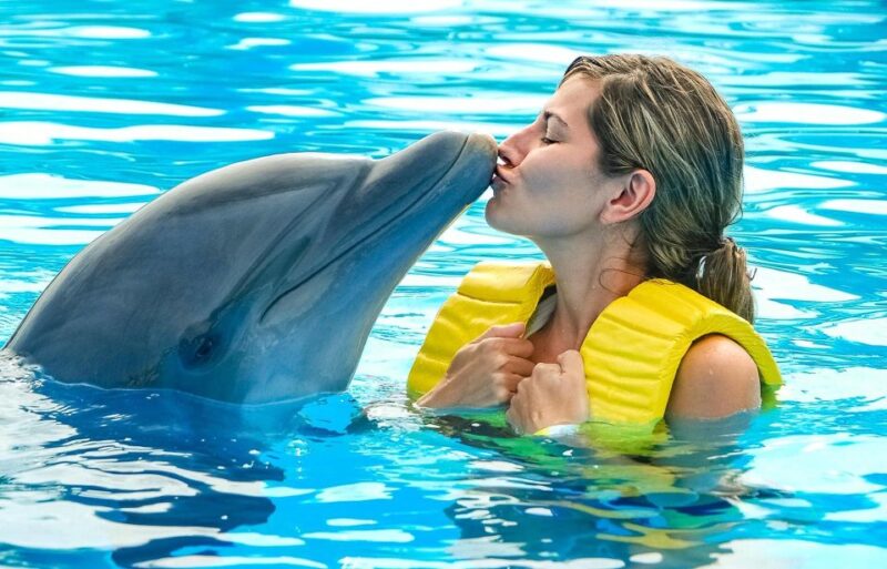 Hurghada: 1-Hour Show at Dolphin World With Optional Pickup - Languages and Cancellation