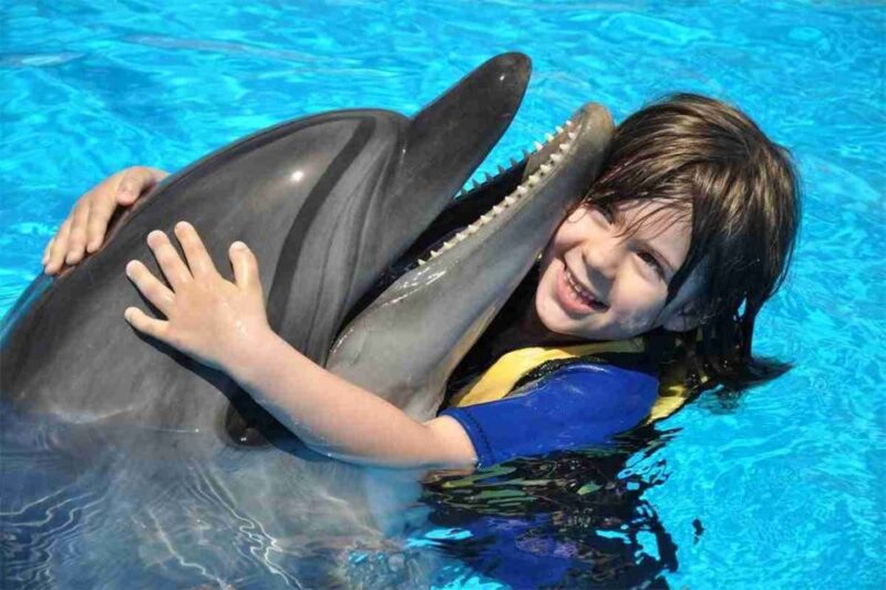 Hurghada: 1-Hour Show at Dolphin World With Optional Pickup - Swimming With Dolphins