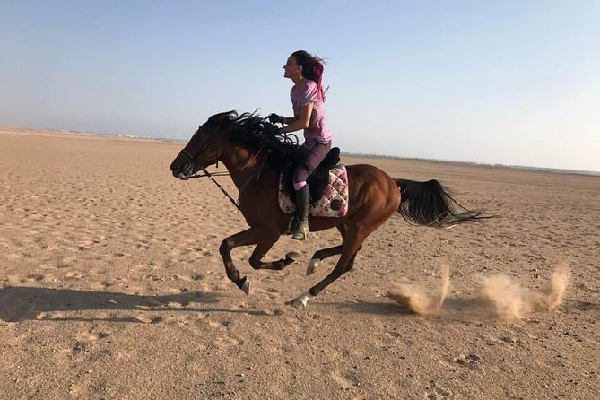 Hurghada: 2 Hours Camel and Horse Riding Adventure on The Sea. - Overview and Details